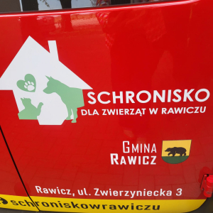 wsparcie dla schroniska